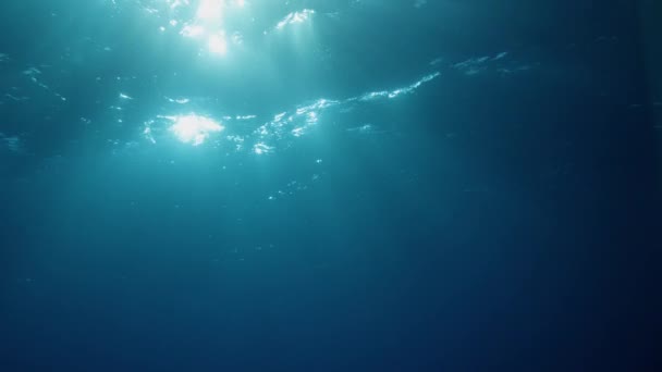 Raggi Del Sole Penetrano Nelle Superfici Ondulate Dell Oceano Oceano — Video Stock