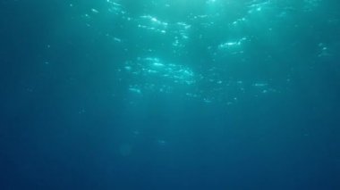 Su altı Godrays etkisi. Güneş ışınları dalgalı okyanus yüzeyini delip geçiyor. Okyanus arkaplan ışığı VFX ögesini boşaltır. Sualtı tropikal deniz görüntüleri. Dalış, şnorkelle yüzme cenneti. Yaz tatili.