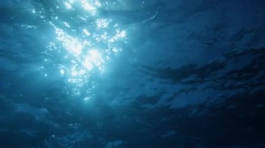 Su altı Godrays etkisi. Güneş ışınları dalgalı okyanus yüzeyini delip geçiyor. Okyanus arkaplan ışığı VFX ögesini boşaltır. Sualtı tropikal deniz görüntüleri. Dalış, şnorkelle yüzme cenneti. Yaz tatili.