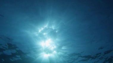 Su altı Godrays etkisi. Güneş ışınları dalgalı okyanus yüzeyini delip geçiyor. Okyanus arkaplan ışığı VFX ögesini boşaltır. Sualtı tropikal deniz görüntüleri. Dalış, şnorkelle yüzme cenneti. Yaz tatili.