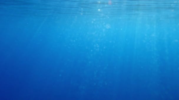 微妙的水下妖怪效果与美丽的海洋雪相结合 清澈的水下海洋光播放Vfx元素 平静的热带海洋背景 — 图库视频影像