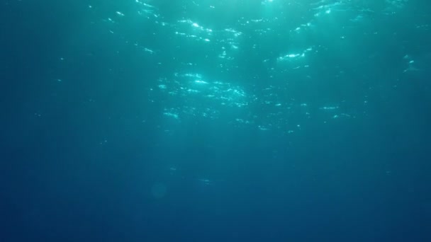 Undervattens Godrays Effekt Solstrålar Tränger Vågytan Ocean Bakgrund Ljusschakt Vfx — Stockvideo