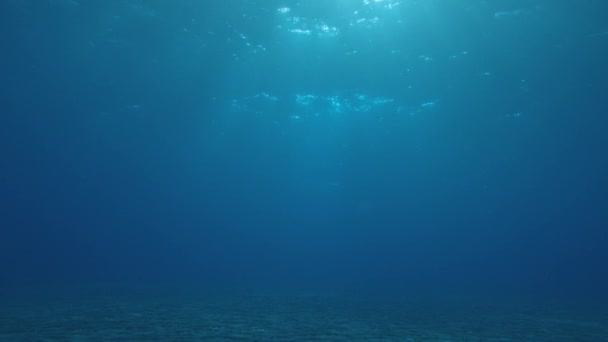 Undervattens Godrays Effekt Solstrålar Tränger Vågytan Ocean Bakgrund Ljusschakt Vfx — Stockvideo