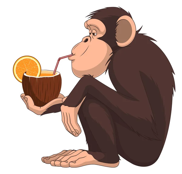 Monkey with a fruit cocktail — Stock Vector