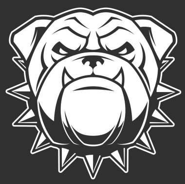 Şiddetli bir bulldog başkanı