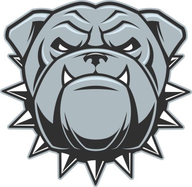 Şiddetli bir bulldog başkanı