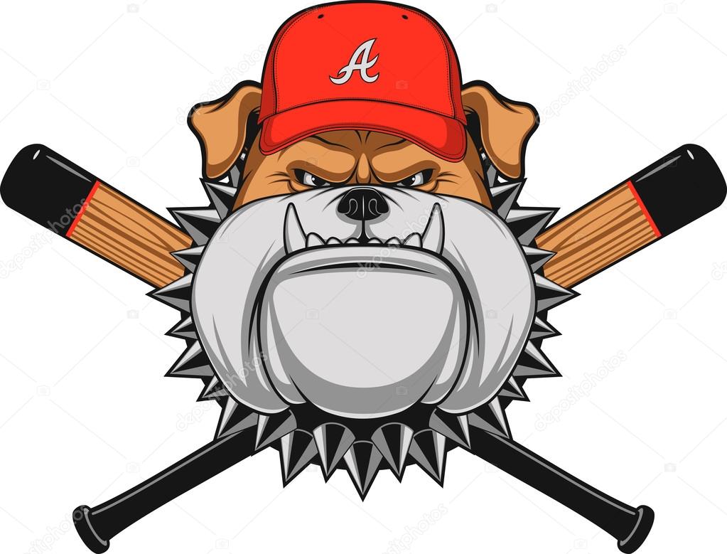 Vector illustration, a fierce bulldog wearing baseball cap, against a white background