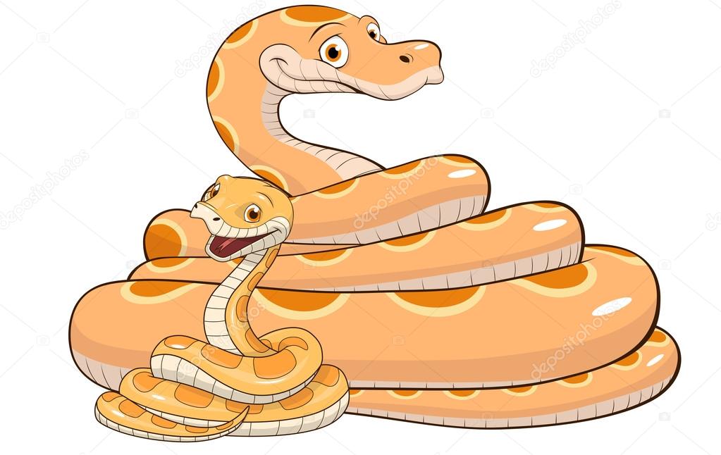 Adult and baby snake Stock Vector Image by ©Andrey_Makurin #107592554 Adult and baby snake Stock Vector Image by ©Andrey_Makurin #107592554