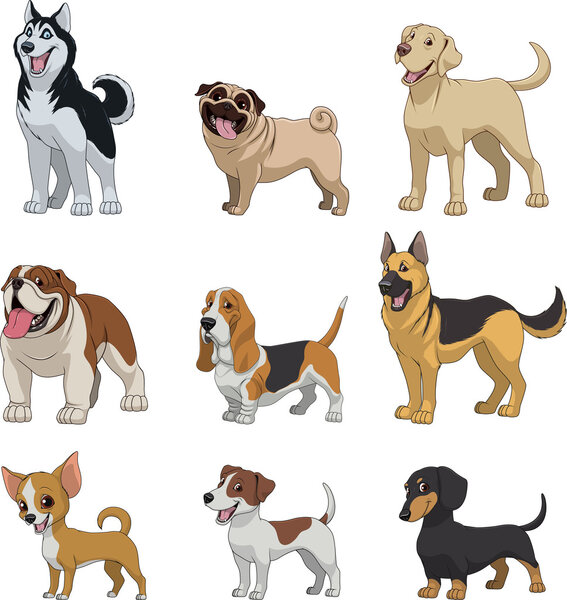 Set purebred dogs
