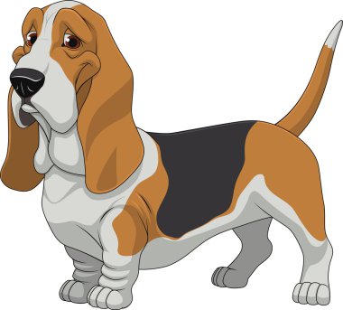 Komik safkan köpek