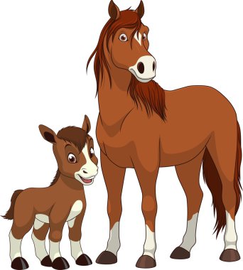 Komik egzotik hayvanlar