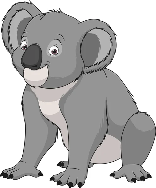 Volwassen grappige koala — Stockvector