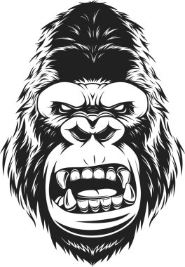 Şiddetli goril kafa