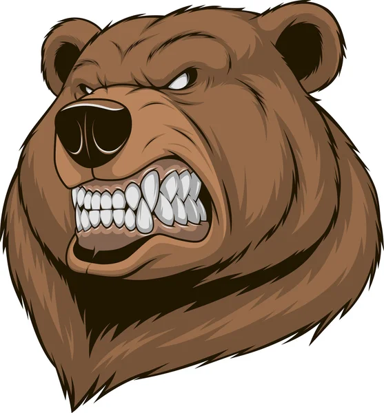 Cabeça de urso feroz —  Vetores de Stock