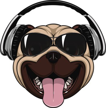 Komik gülen pug