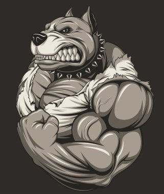Güçlü vahşi pitbull