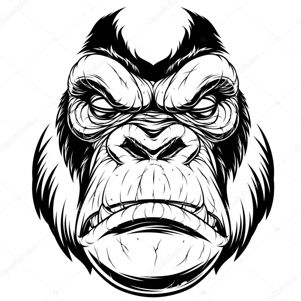 Vector illustration, ferocious gorilla head, on a black background.