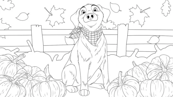 Graphiques vectoriels, chien drôle avec une écharpe autour de son cou garde un potager avec des citrouilles — Image vectorielle
