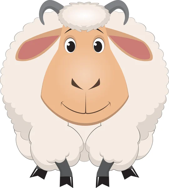 Desenhos animados bebê ovelhas —  Vetores de Stock