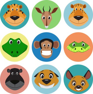 hayvanlar topluluğu