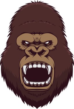 Kızgın goril kafası.