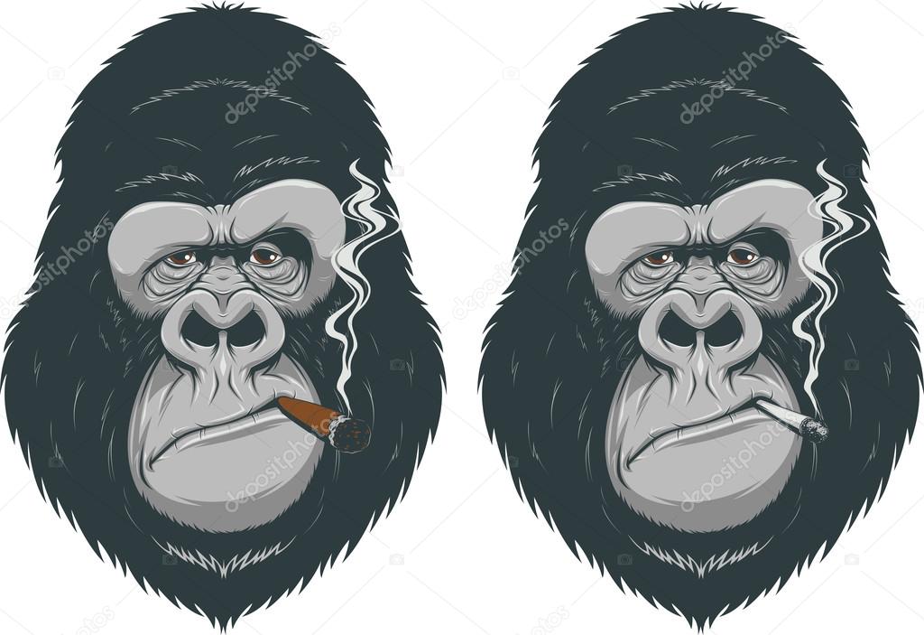 Monkey with a cigarette