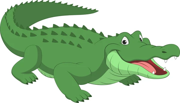 Funny crocodile — Stock Vector