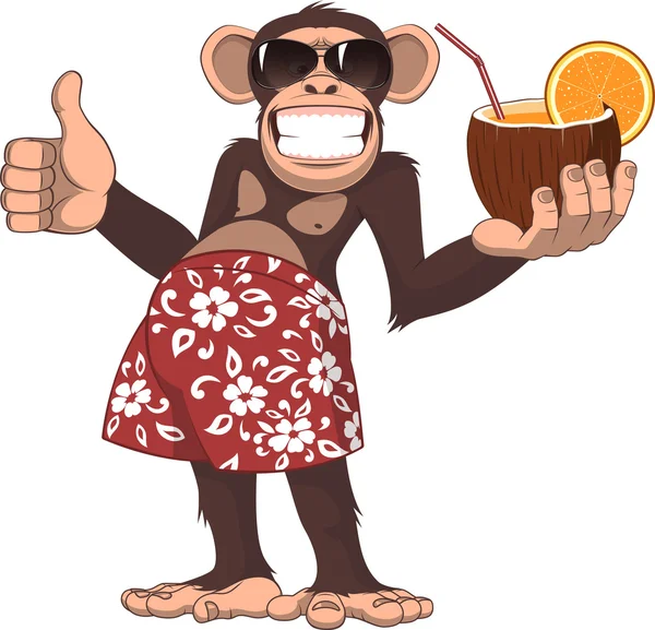 Singe avec un cocktail — Image vectorielle