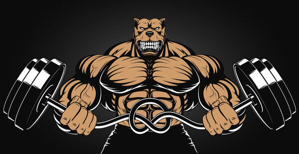 Злая собака
