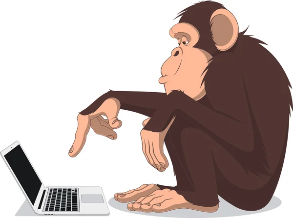 Monkey and computer — Stock Vector