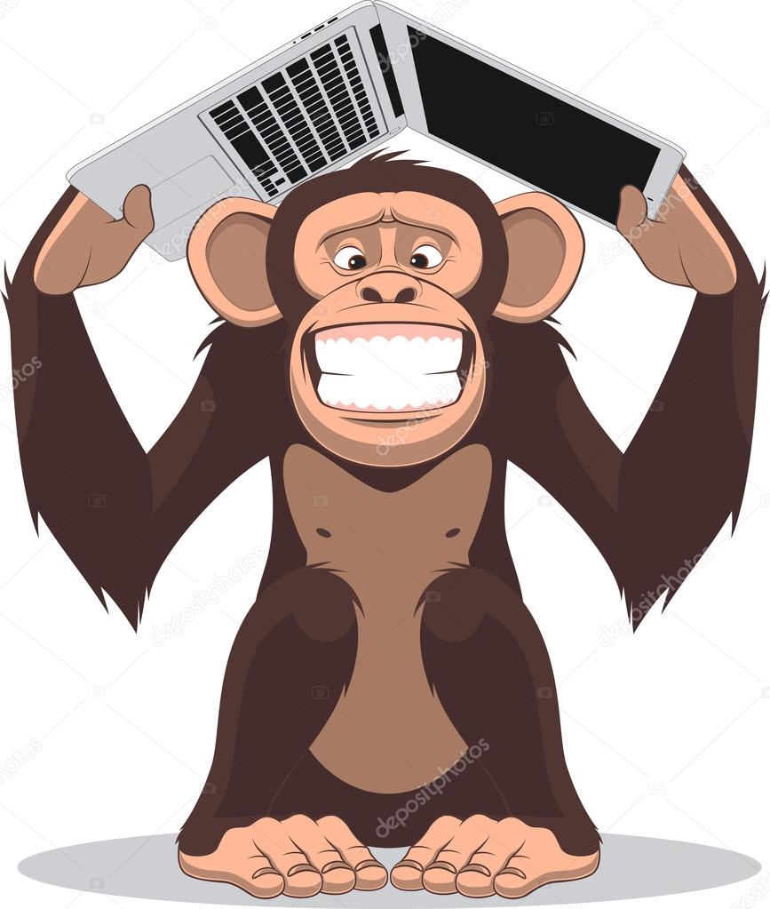 Monkey and computer