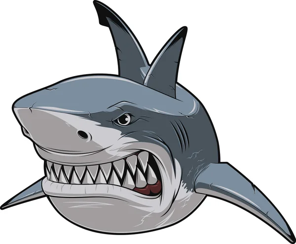 Angry white shark — Stock Vector