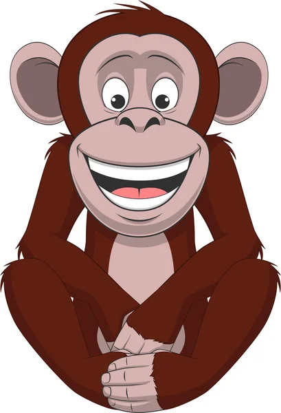 Funny little monkey — Stock Vector