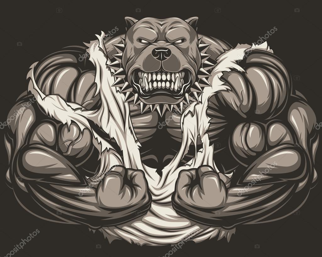 Angry dog bodybuilder Stock Vector Image by ©Andrey_Makurin 91124480