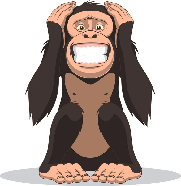 Funny little monkey — Stock Vector