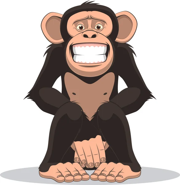 Funny little monkey — Stock Vector