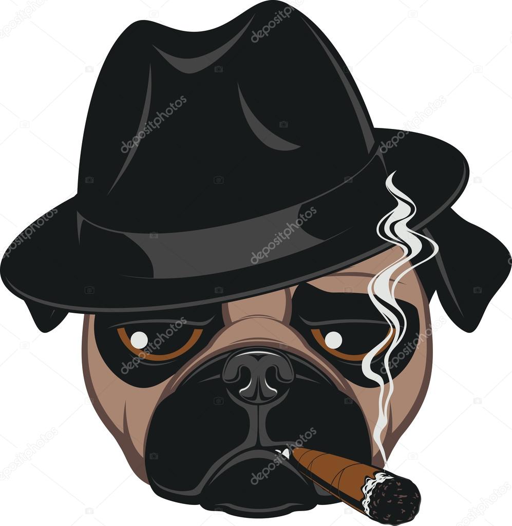 Funny pug with cigar