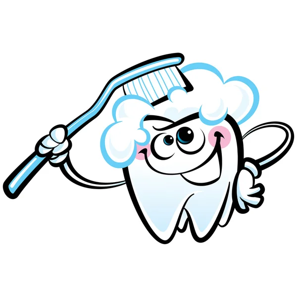 Happy cartoon white molar tooth character washing with dental to — Stock Vector