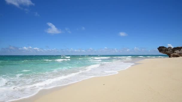 Superbe plage en été — Video