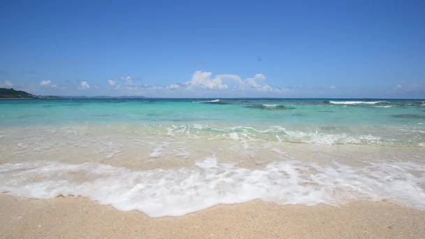 Prachtig strand in de zomer — Stockvideo