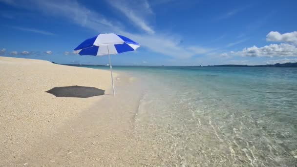 Prachtig strand in de zomer — Stockvideo