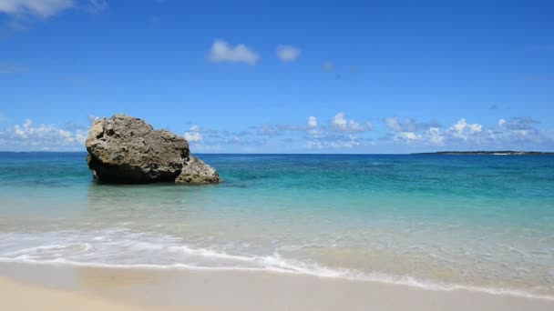 Superbe plage en été 