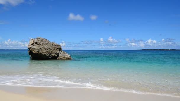 Superbe plage en été — Video