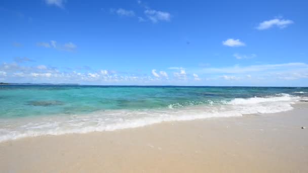 Hermosa playa en verano — Vídeo de stock