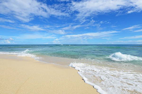 Prachtig strand in de zomer — Stockfoto