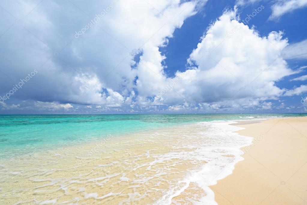 Gorgeous Beach in Summertime