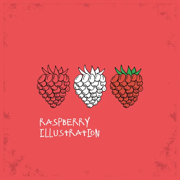 Dibujos animados Estilo Raspberry Illustration — Archivo Imágenes Vectoriales