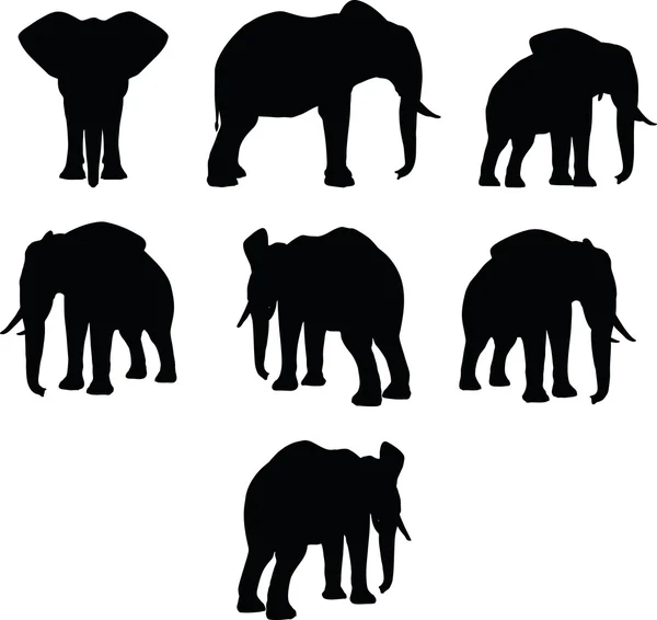 Elephant collection vector silhouette — Stock Vector