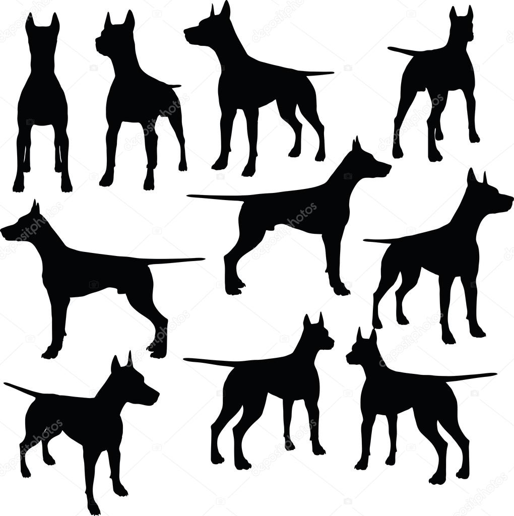 EPS 10 vector illustration of dog collection silhouette in black