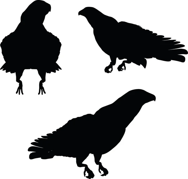 Illustration de la silhouette d'aigle — Image vectorielle